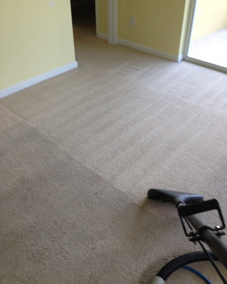 HomeProud Inc deep cleaning a carpet with a hot-water extraction wand in Orlando